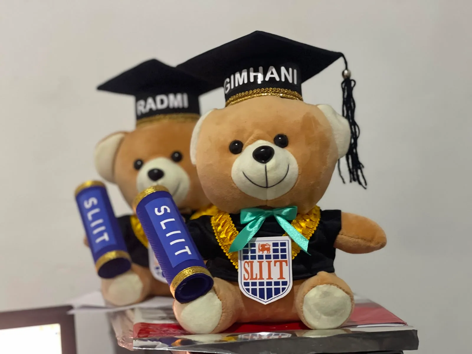 Graduation Teddy