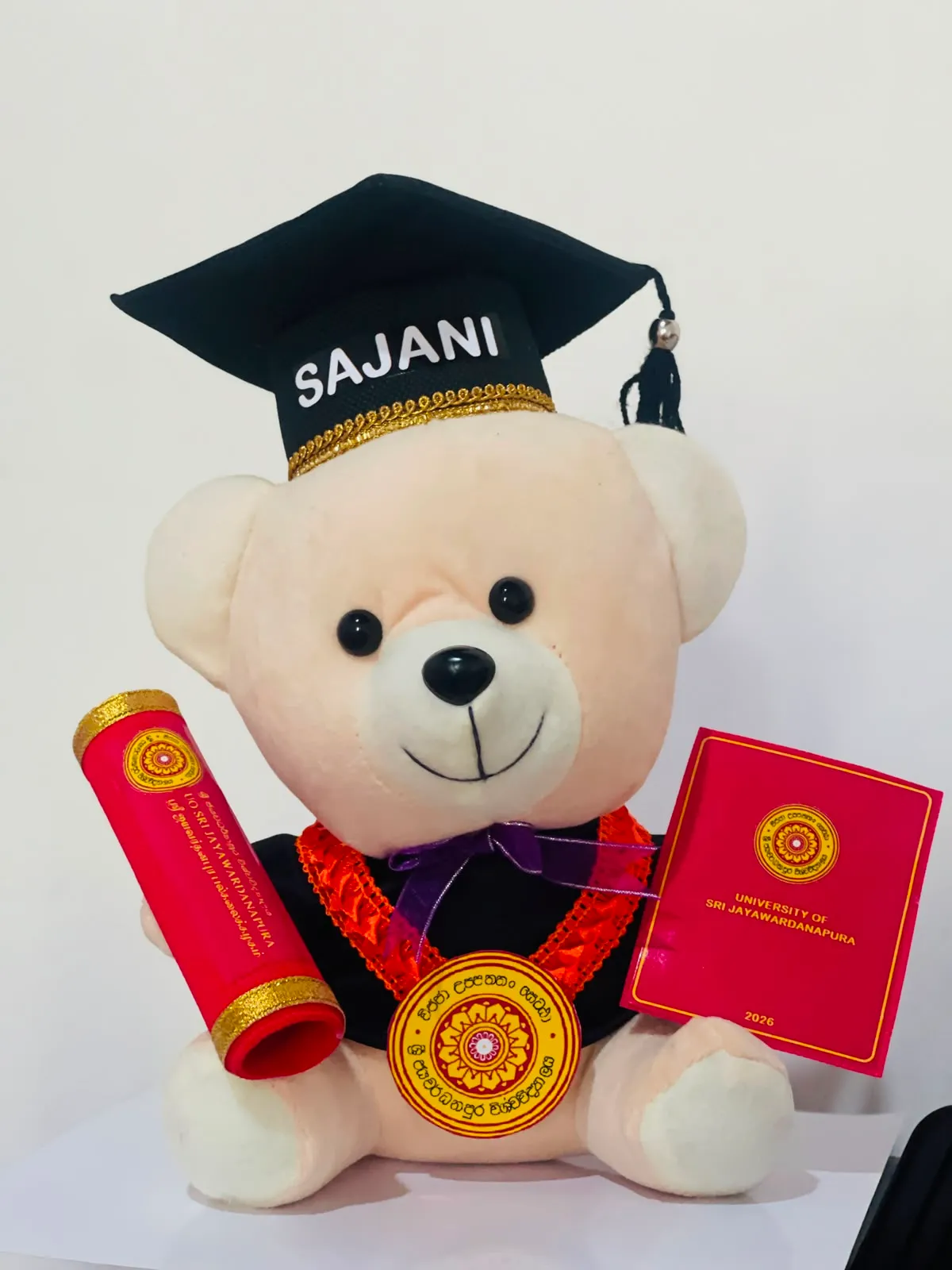 Graduation Teddy
