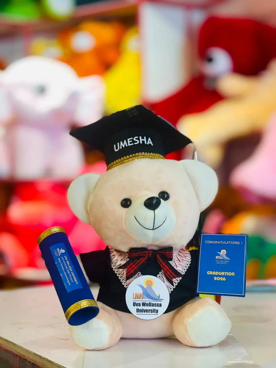 Graduation Teddy